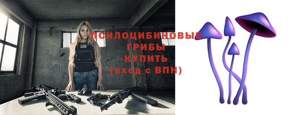ALPHA PVP Киреевск