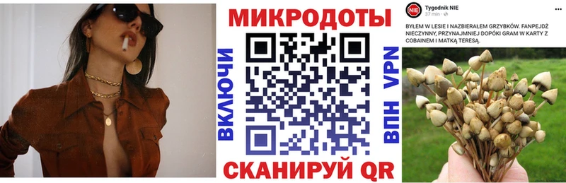Купить Мелеуз Псилоцибиновые грибы Magic Shrooms